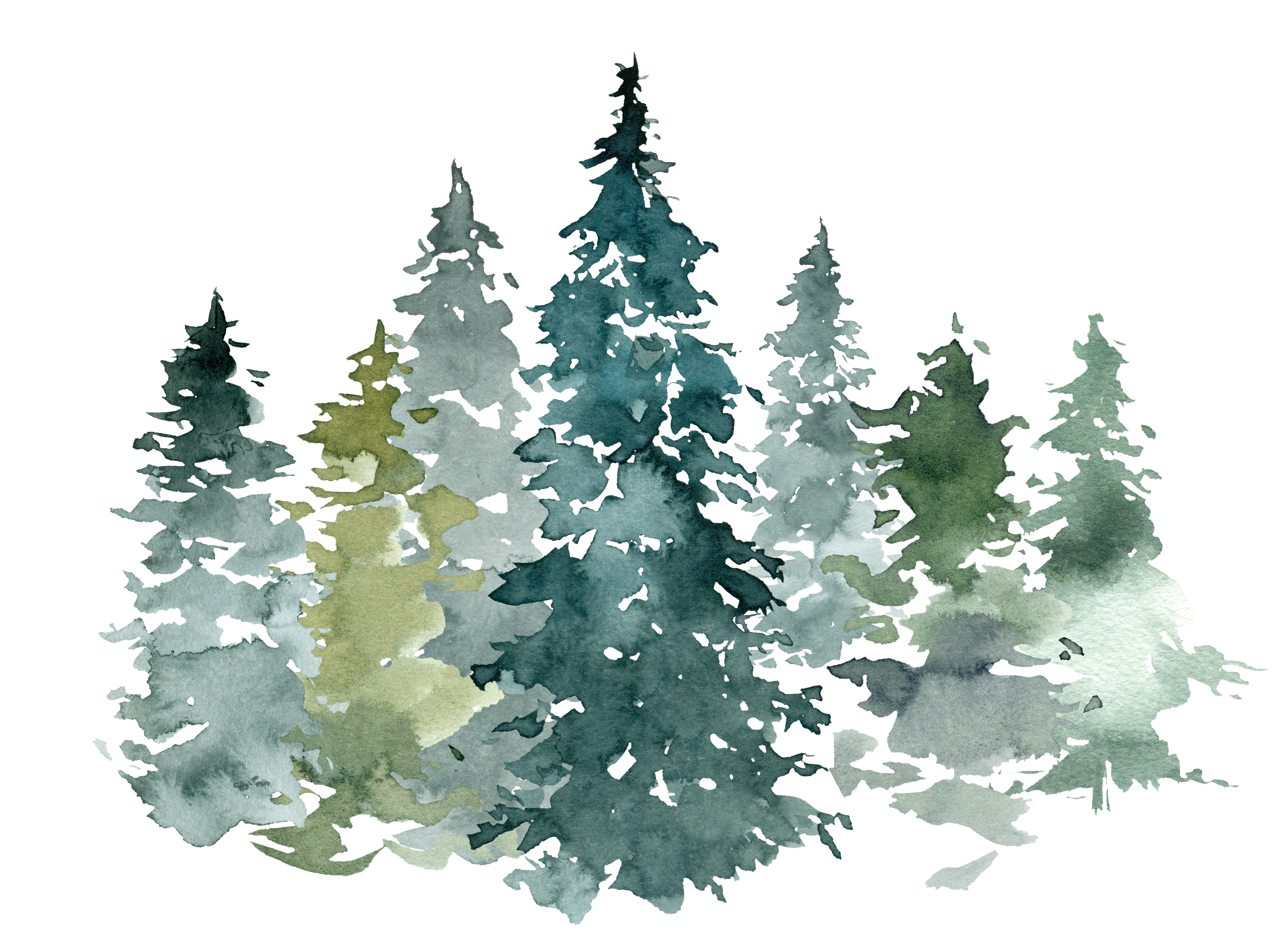 Spruse-arrangements-1